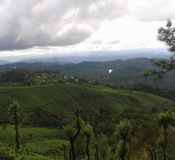 Munnar Lush Greens Экстерьер фото