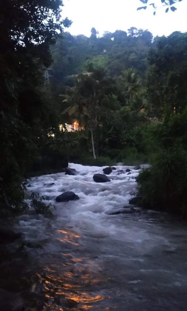 Munnar Lush Greens Экстерьер фото